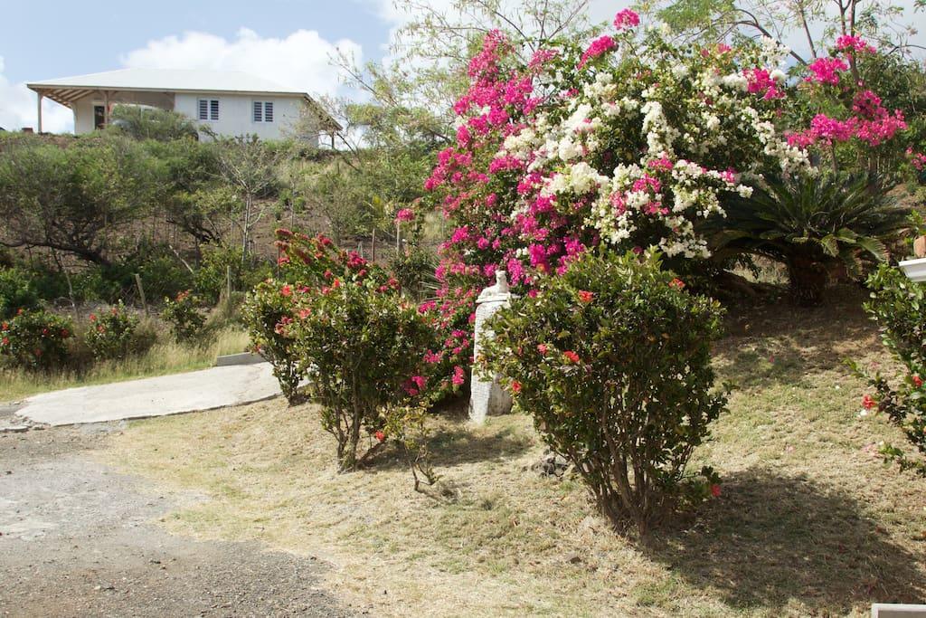 Appartement Vacances Goyave Cap Chevalier 외부 사진