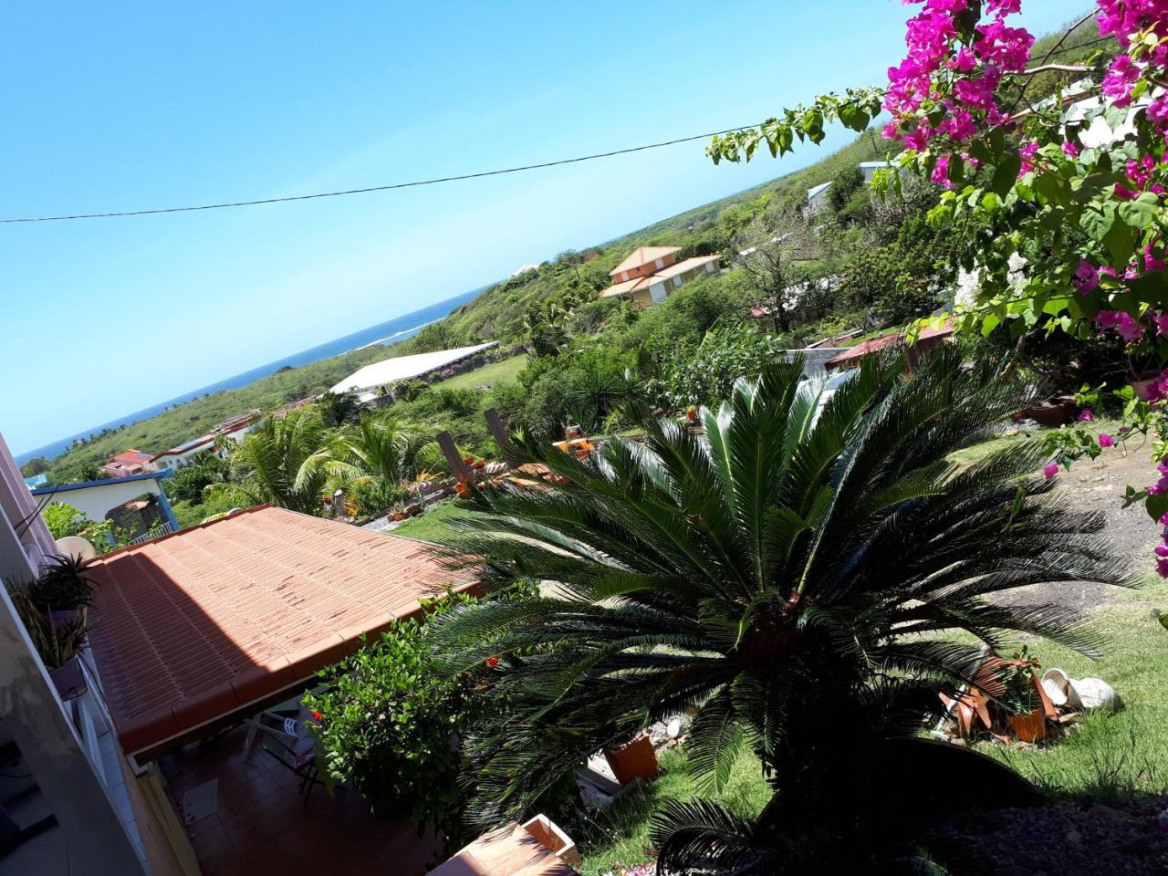 Appartement Vacances Goyave Cap Chevalier 외부 사진